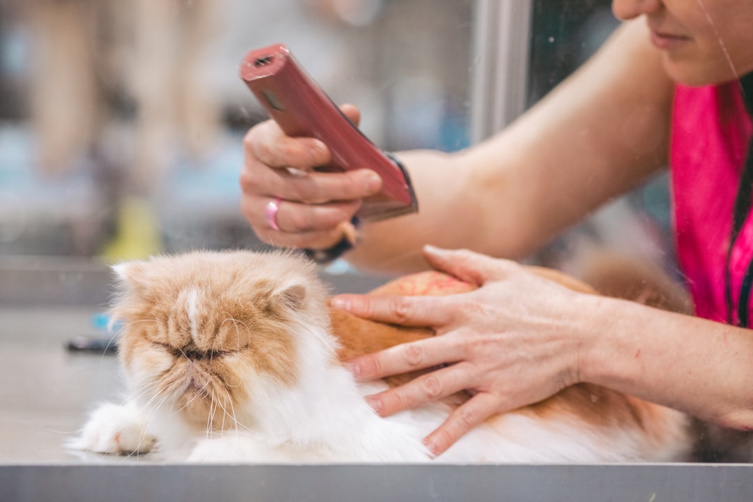 Self-Cleaning Slicker Brush