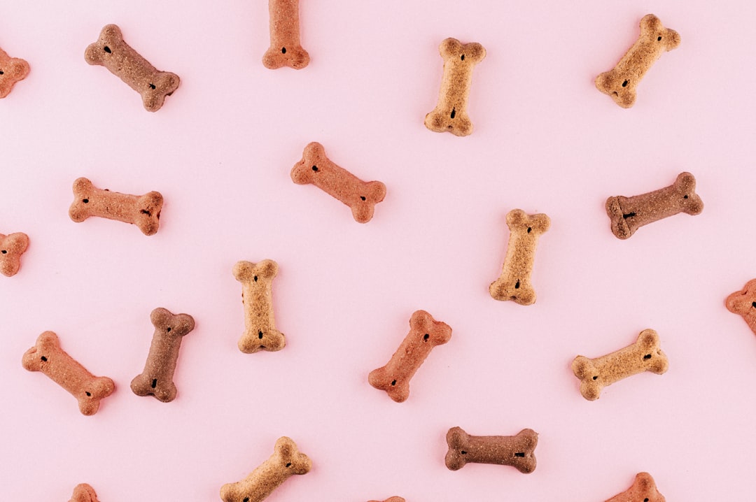 Natural Chicken Jerky Dog Treats
