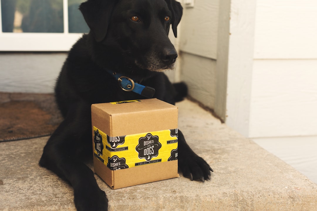 Premium pet food delivery packaging ready for islandwide shipping